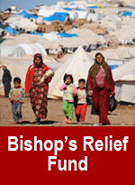 GIVE Button_Bishops Relief Fund